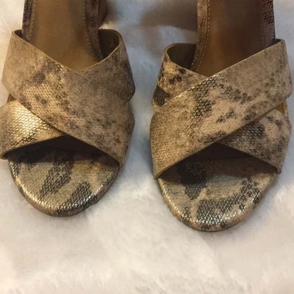 Betsey Johnson - Picture 5 of 9